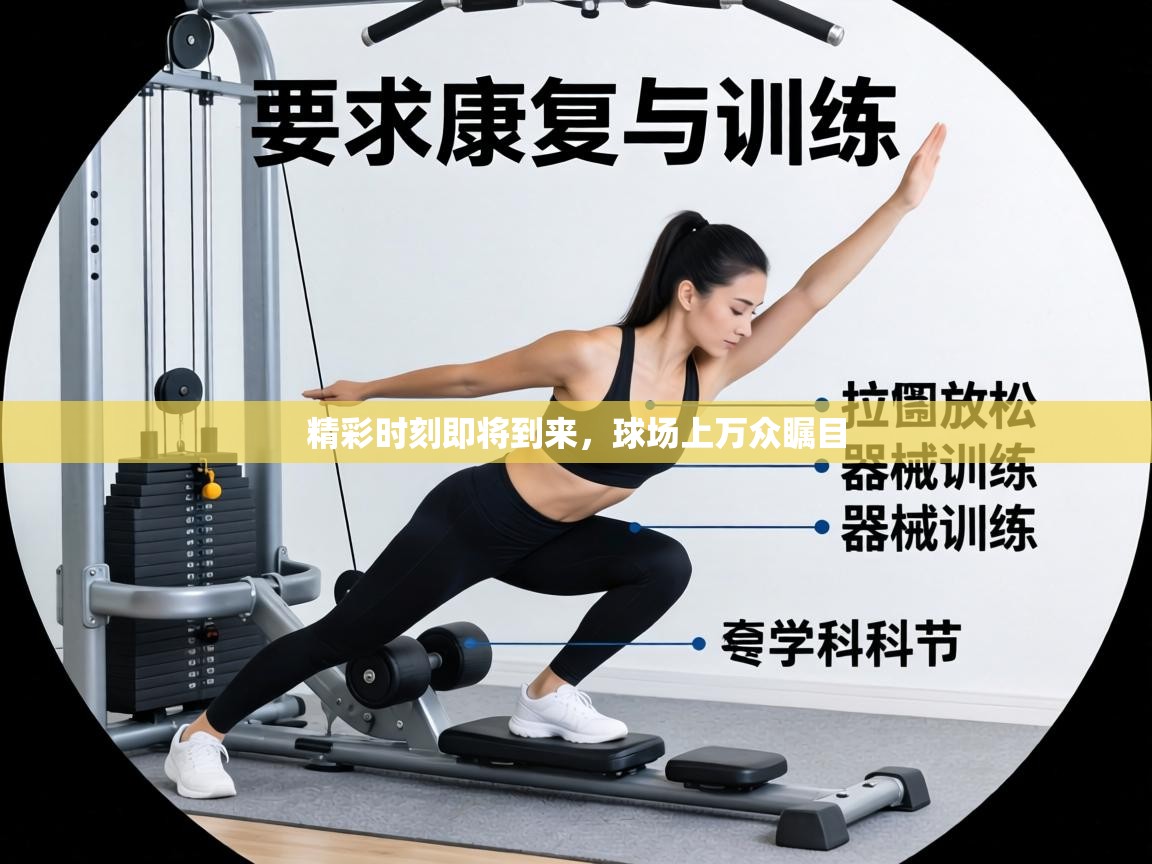 精彩时刻即将到来，球场上万众瞩目  第1张