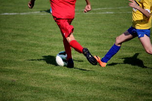 爱游戏体育官网-仰泳项目美队稳住阵脚，仰泳的比赛视频  第2张